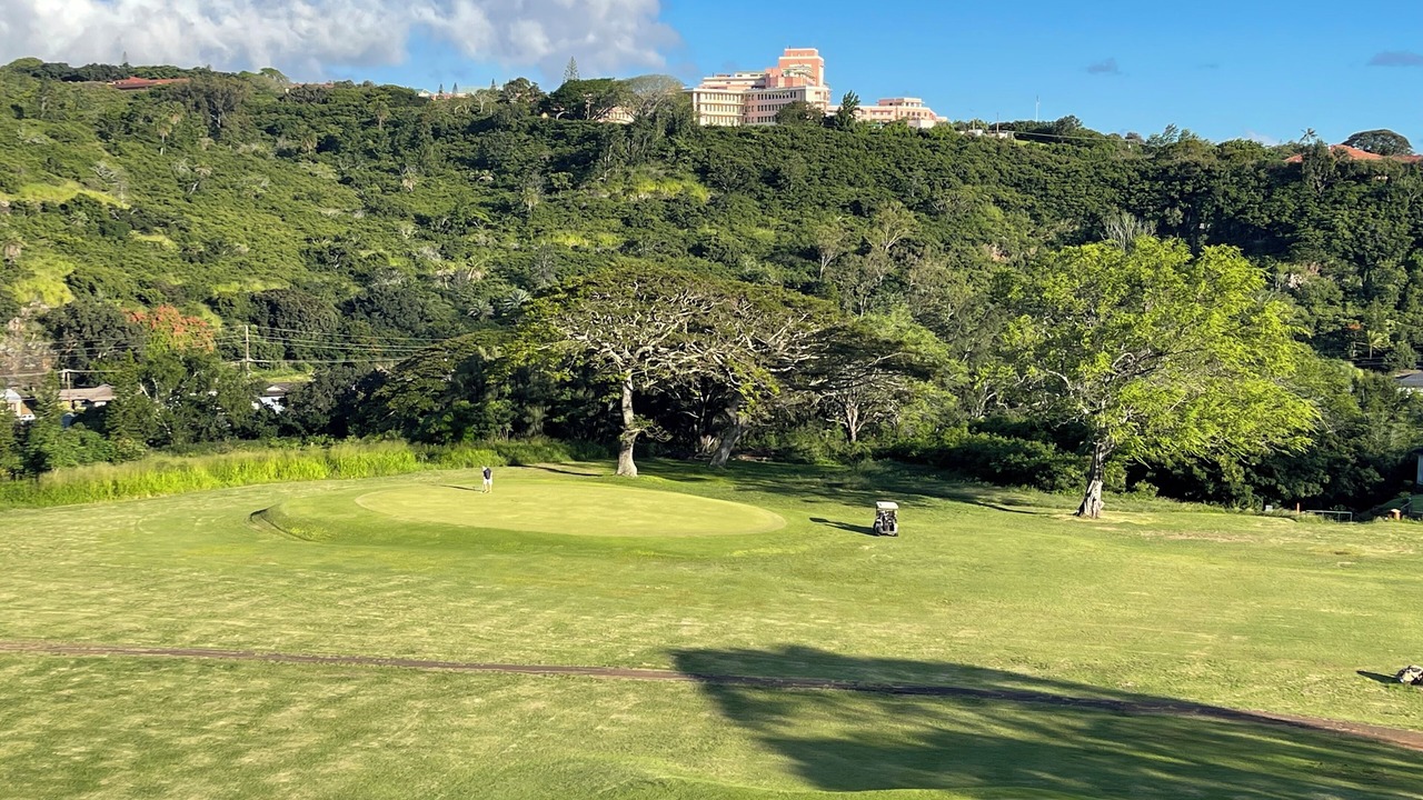 Photo of Others in Moanalua