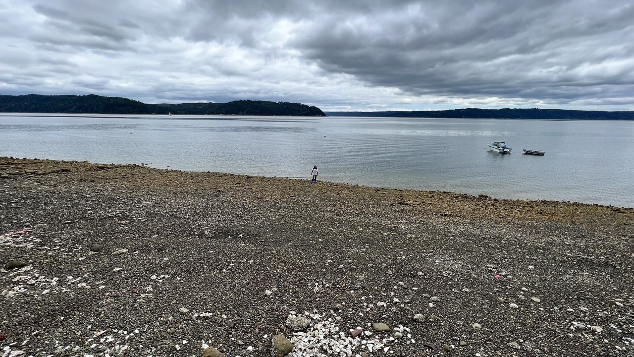 Photo of Others in Potlatch