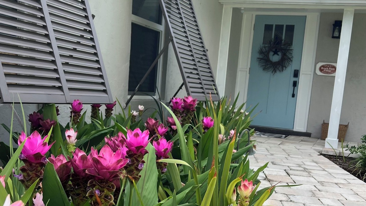 Photo of Outdoor in Jupiter