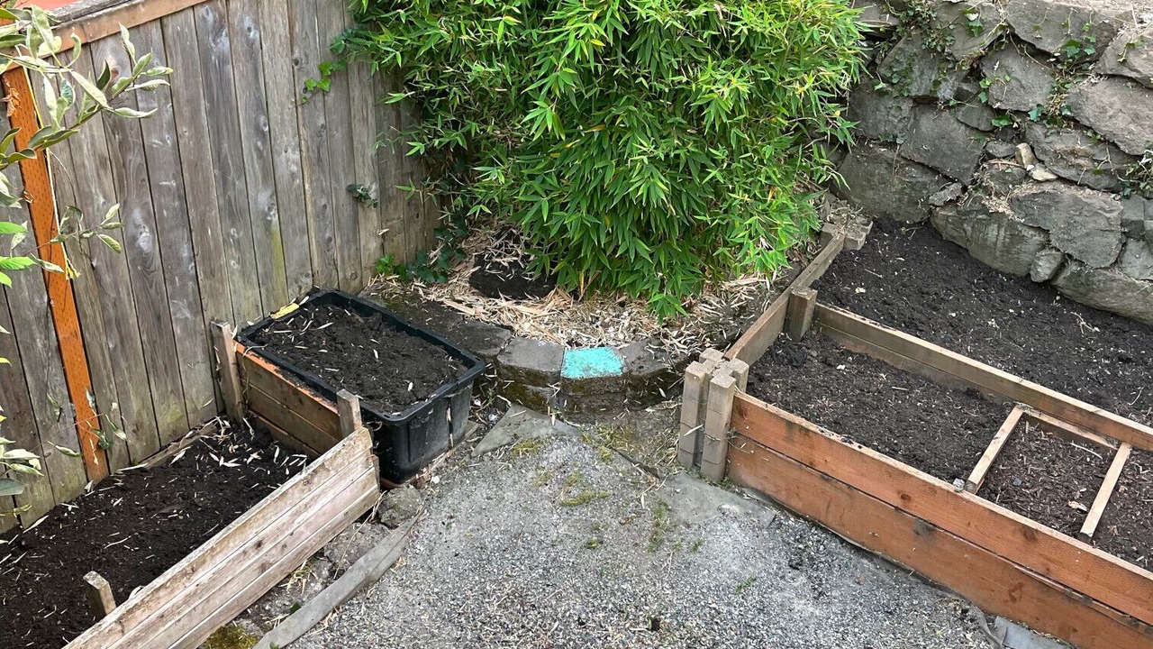 Photo of Outdoor in Columbia City