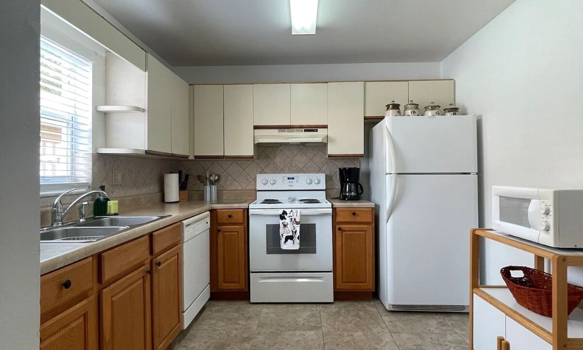 Photo of Kitchen in Wellington