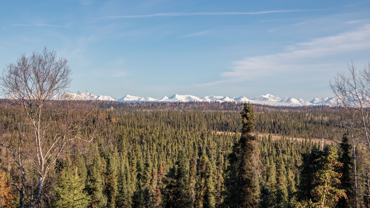 Photo of Others in Cohoe