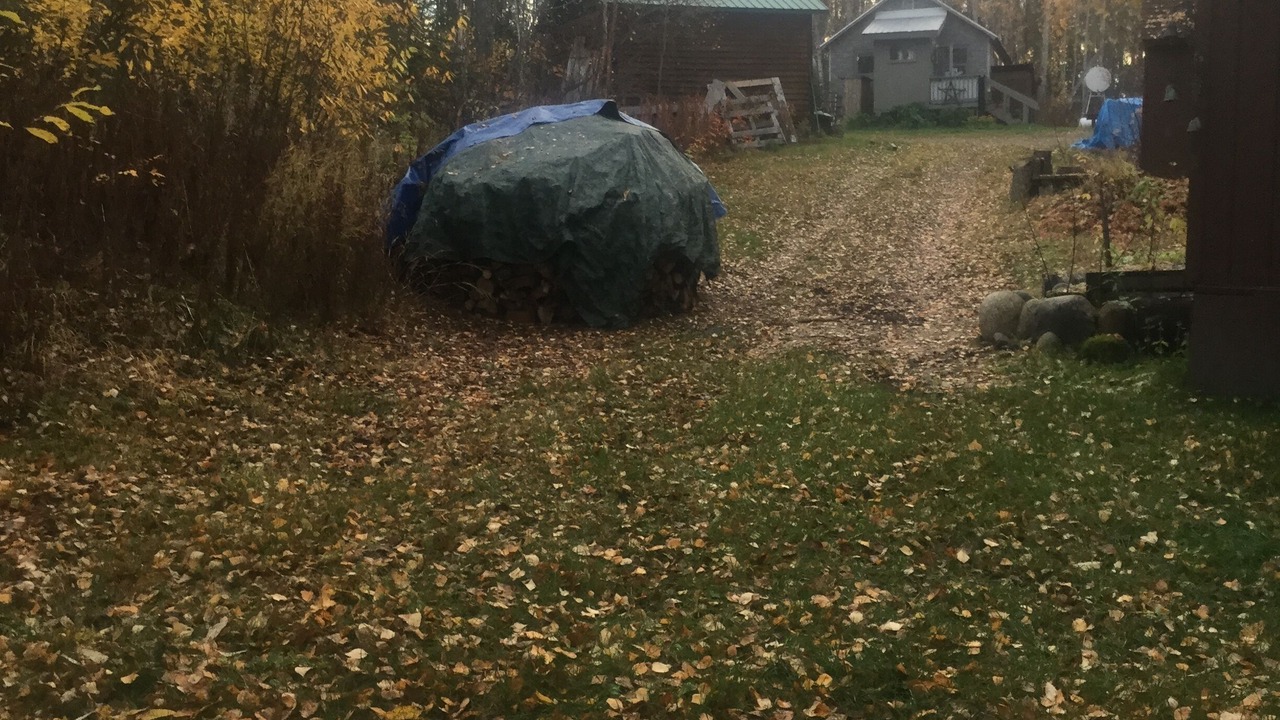 Photo of Outdoor in Talkeetna
