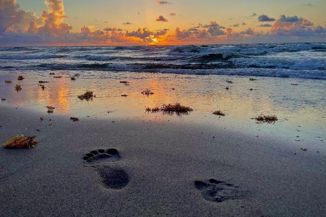 Photo of Others in Boca Raton