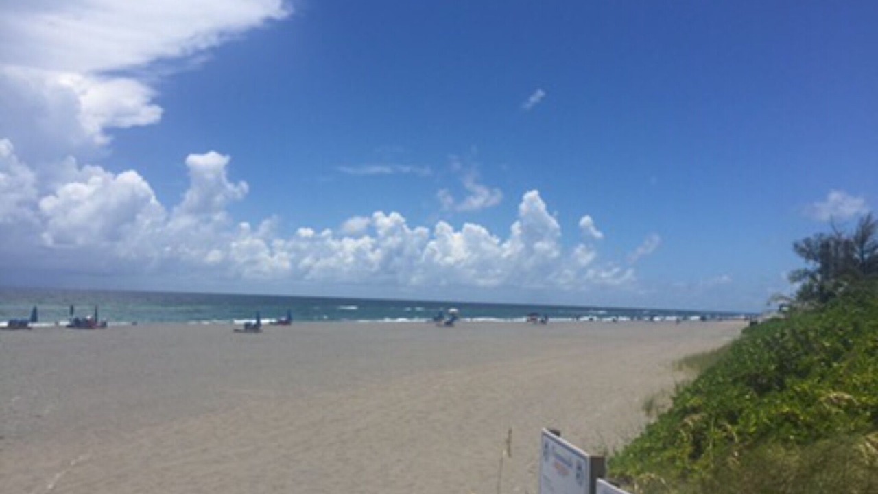 Photo of Others in Boca Raton