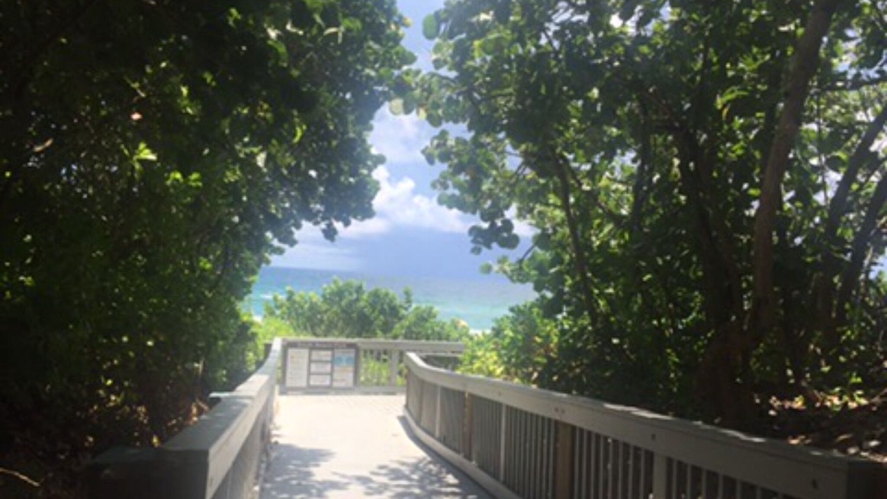 Photo of Others in Boca Raton