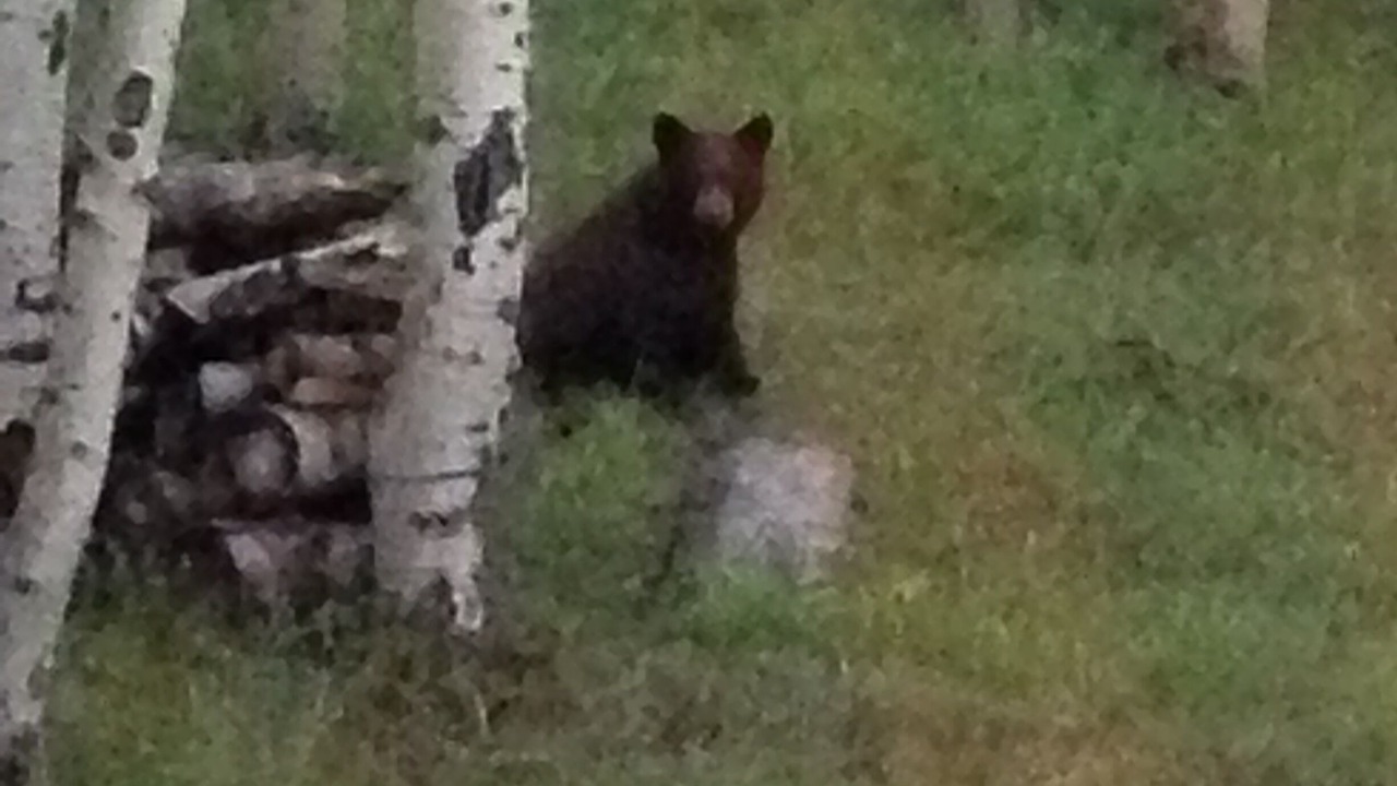Photo of Outdoor in Cimarron