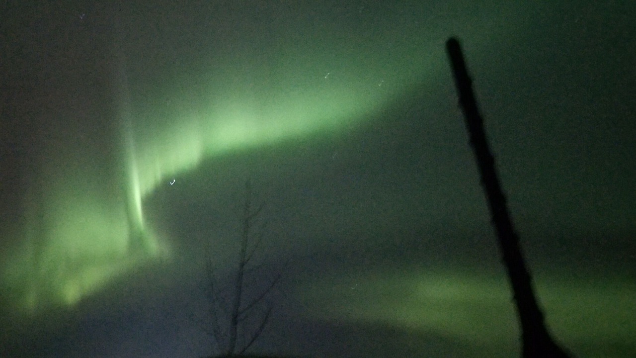 Photo of Others in Kenai