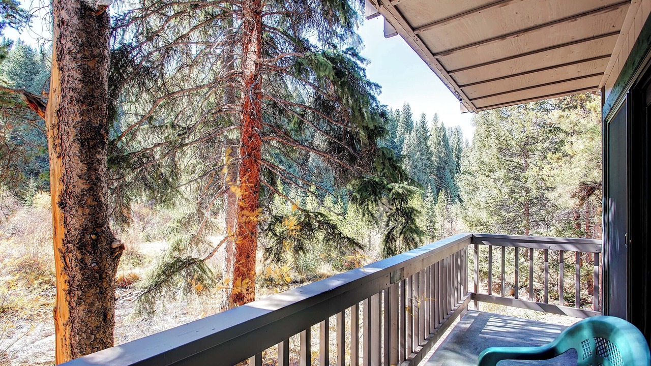 Photo of Patio Balcony in Peak 9