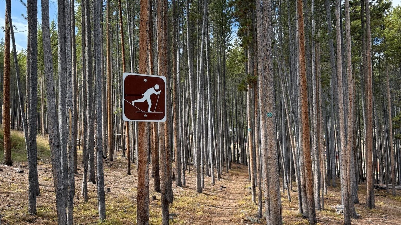 Photo of Others in Peak 8