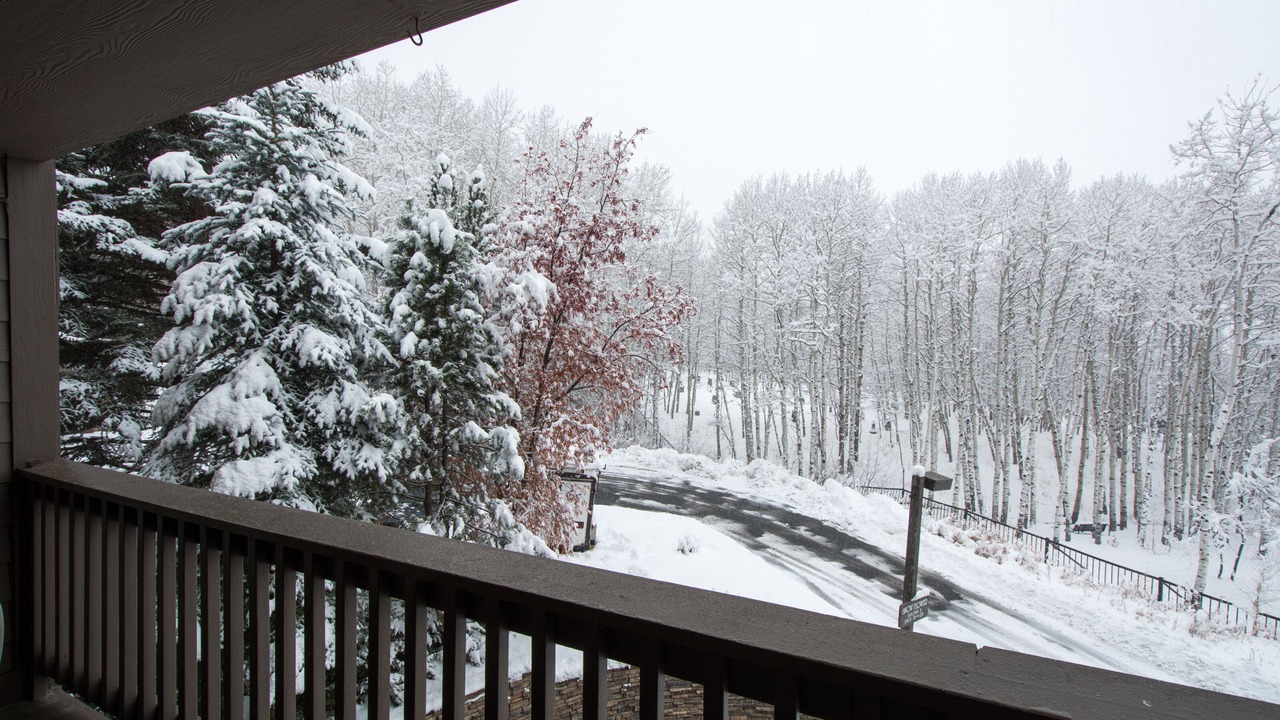 Photo of Patio Balcony in North Park City