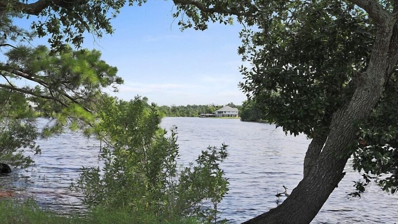 Photo of Others in Slidell