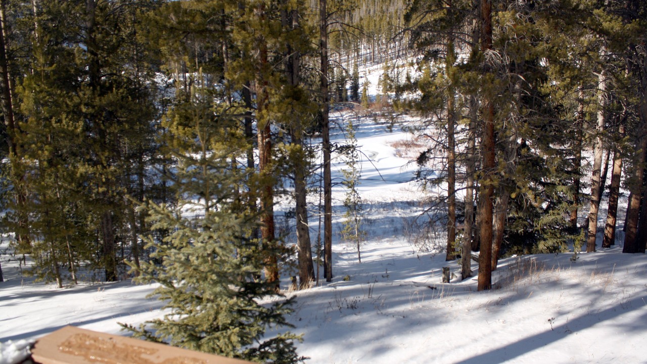 Photo of Others in Breckenridge