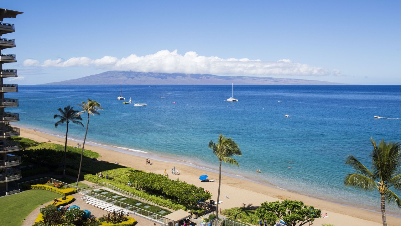 Photo of Others in Kaanapali