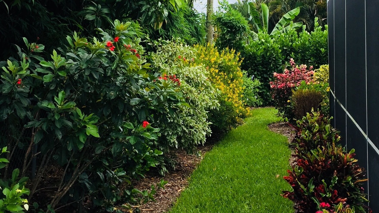 Photo of Others in Tequesta