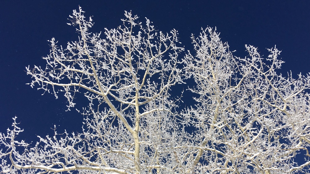 Photo of Others in Aspen
