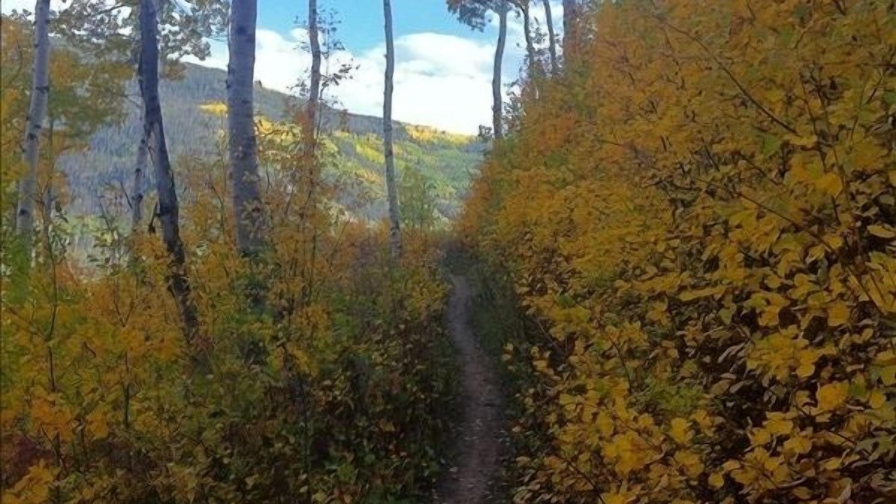 Photo of Others in Vail