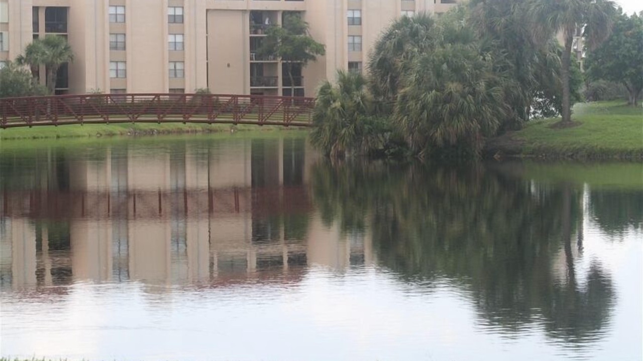 Photo of Outdoor in Tropic Palms