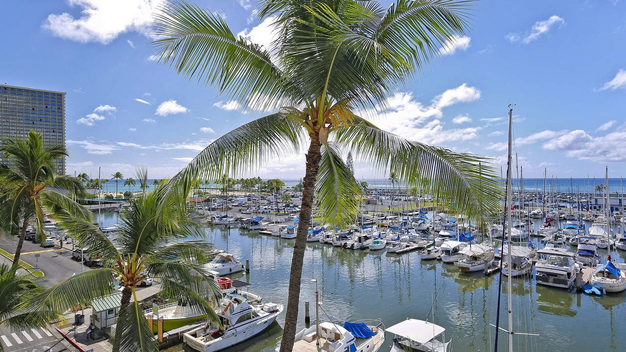 Photo of Others in Waikiki