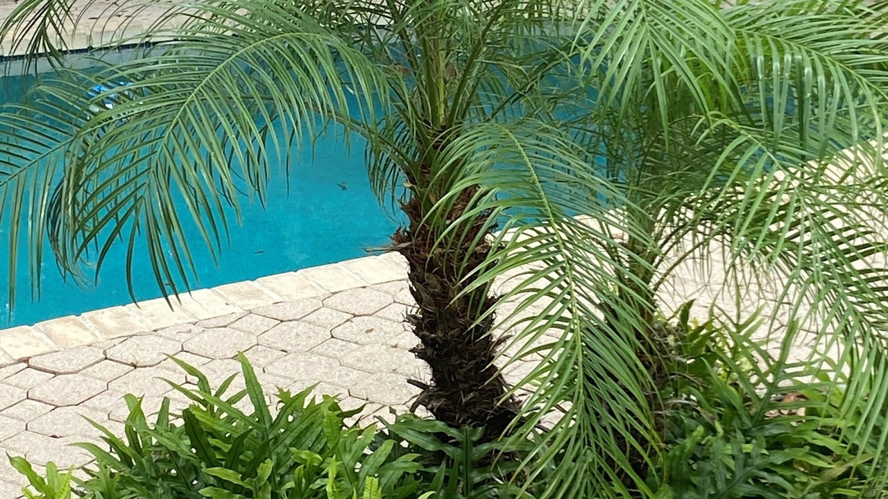 Photo of Outdoor in East Fort Lauderdale