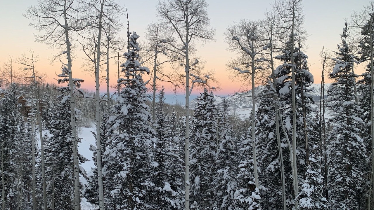 Photo of Bedroom in Mountain Village