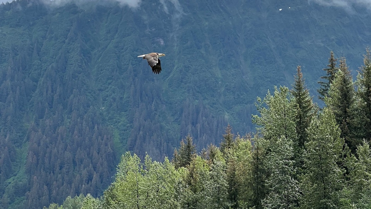 Photo of Others in Juneau