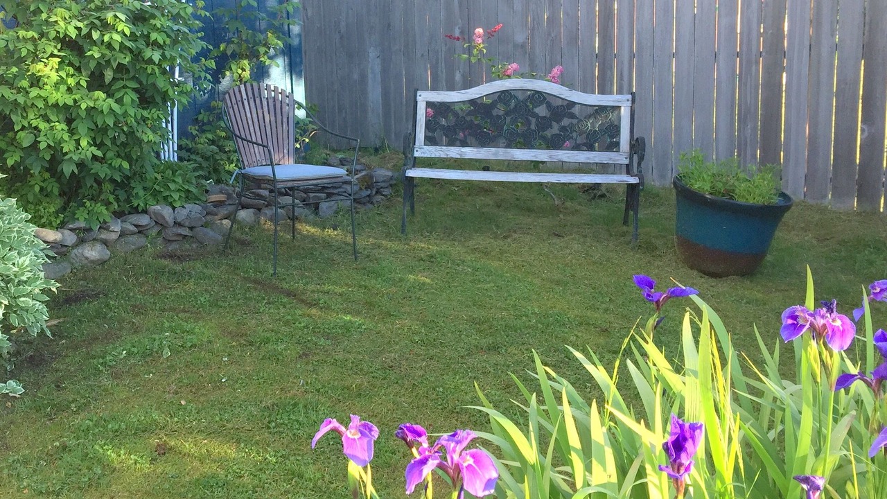 Photo of Outdoor in Seward