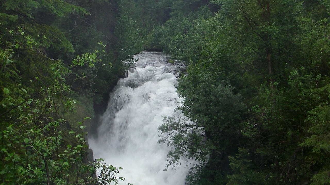 Photo of Others in Seward