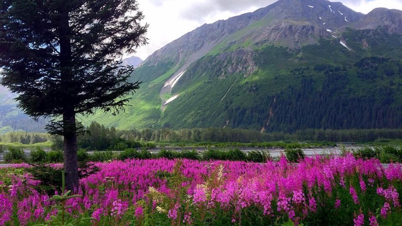 Photo of Outdoor in Seward