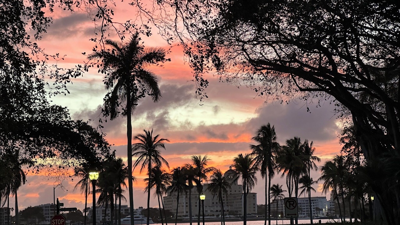 Photo of Others in Providencia Park