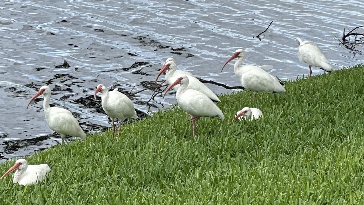 Photo of Others in Boynton Beach