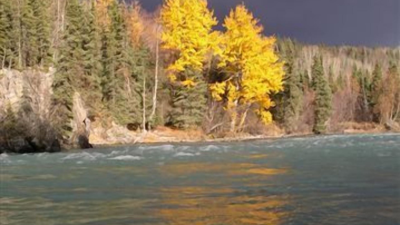 Photo of Others in Cooper Landing