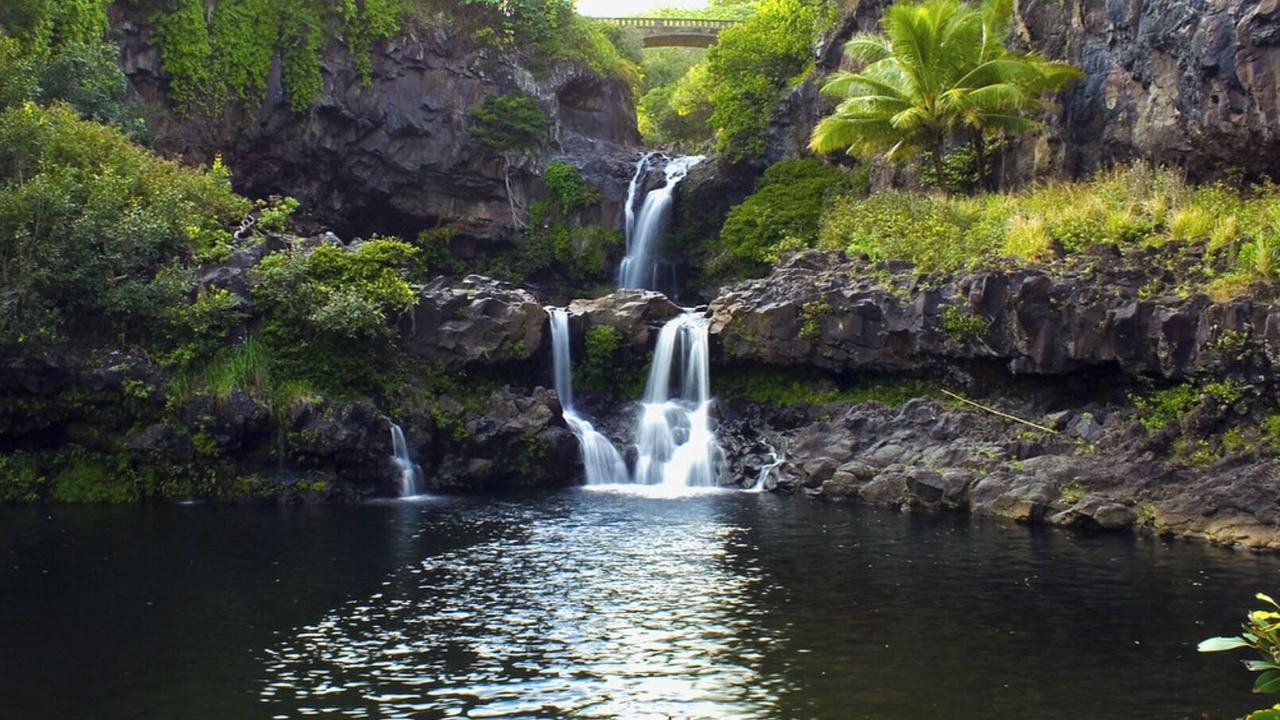 Photo of Others in Kaanapali