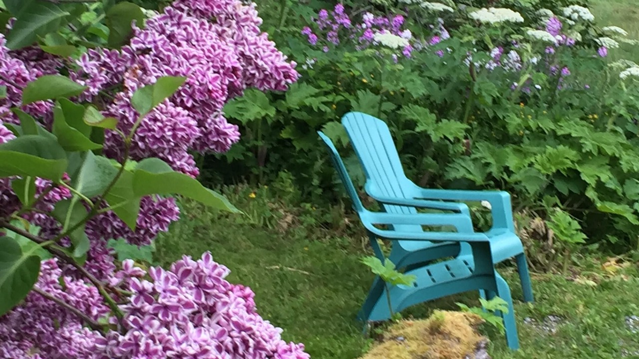 Photo of Outdoor in Juneau