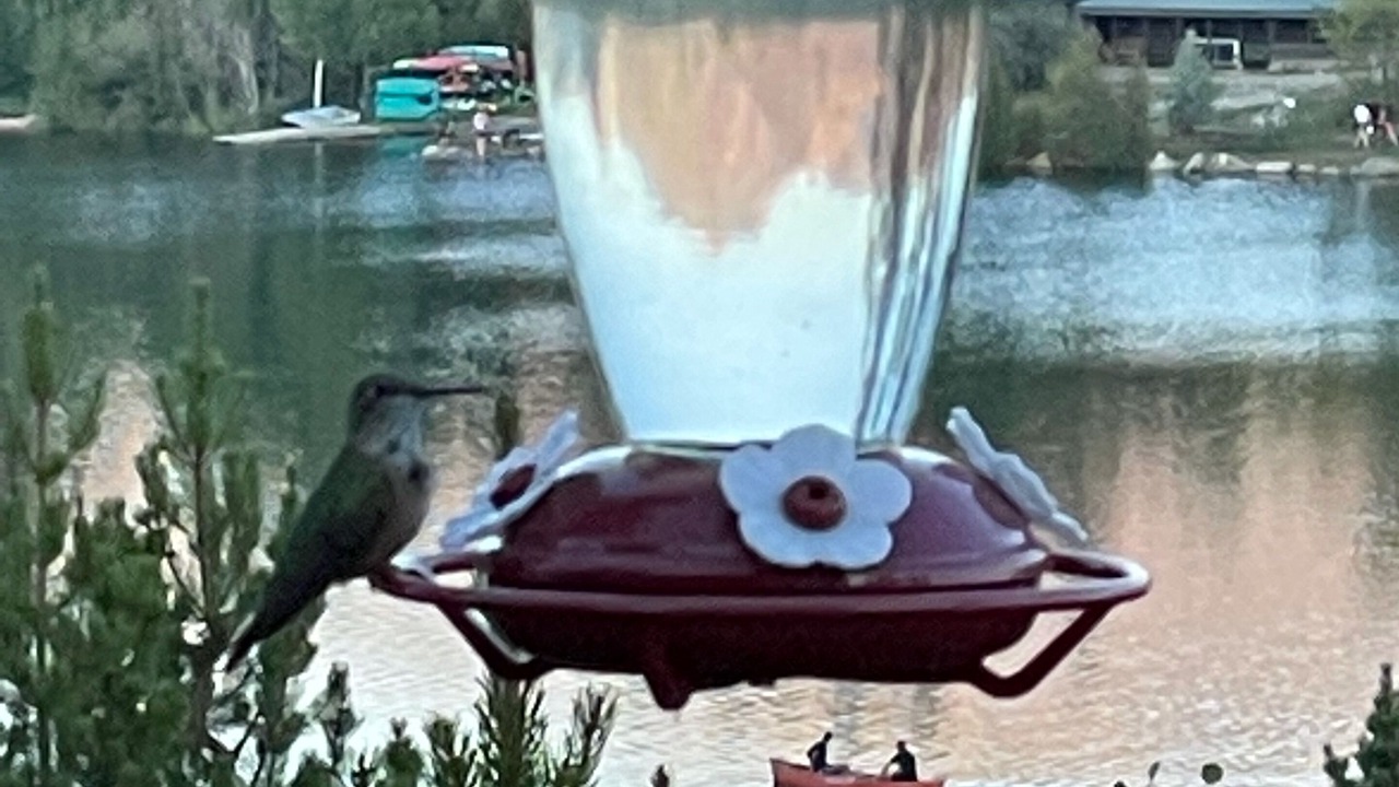 Photo of Others in Grand Lake