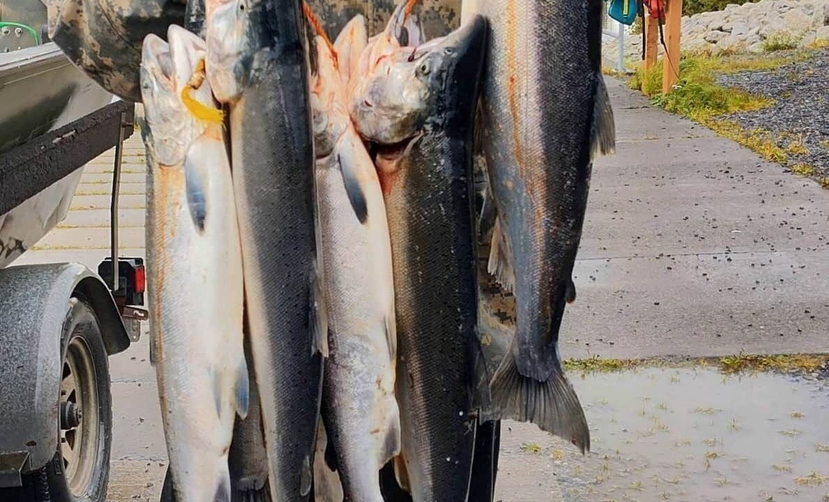 Photo of Others in Cordova