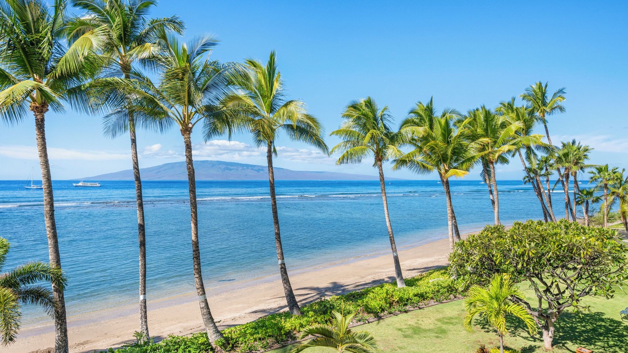 Photo of Others in Historic Lahaina Front Street