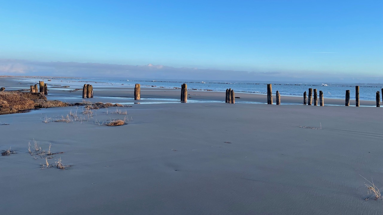 Photo of Others in Ocean Shores