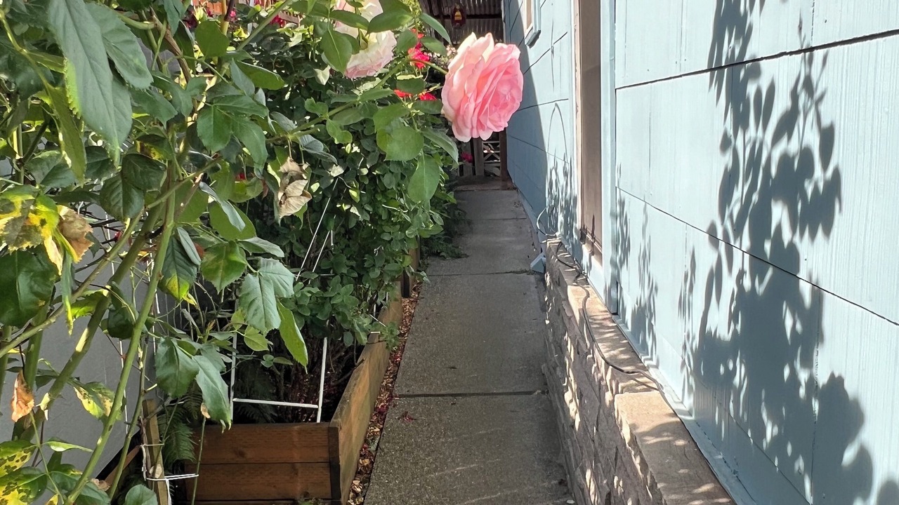 Photo of Outdoor in Greenwood