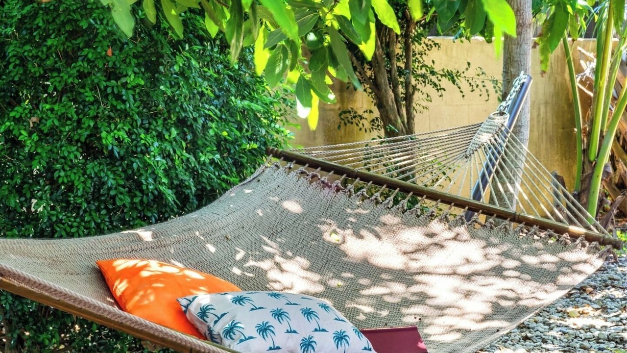 Photo of Outdoor in Lantana