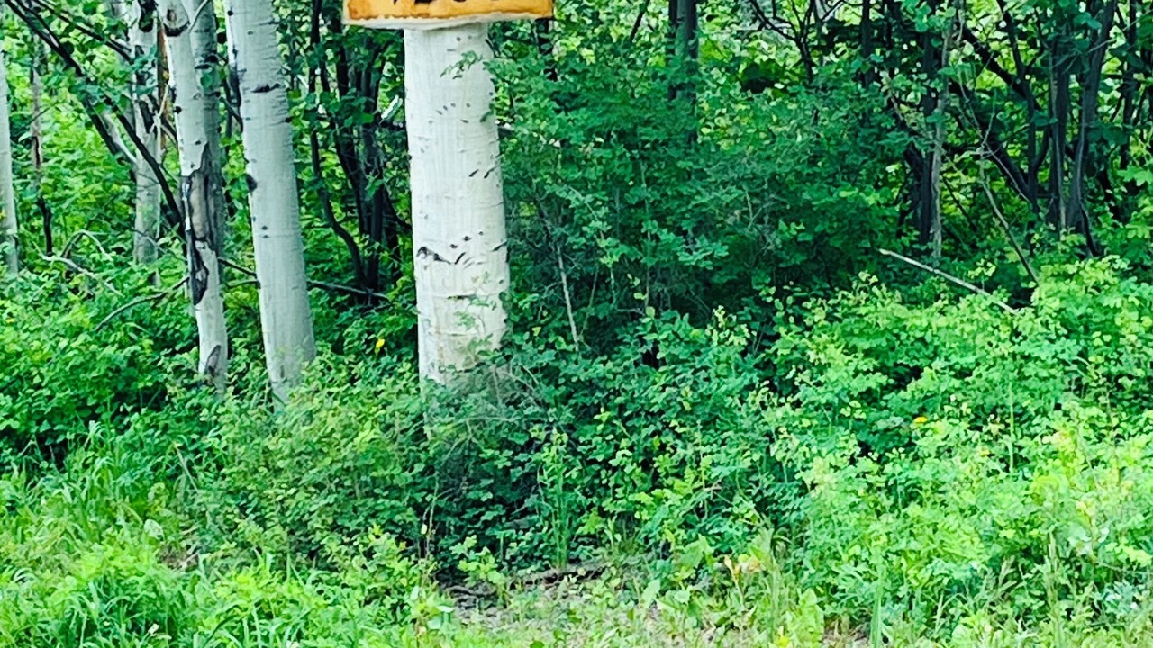 Photo of Outdoor in Elk Meadows