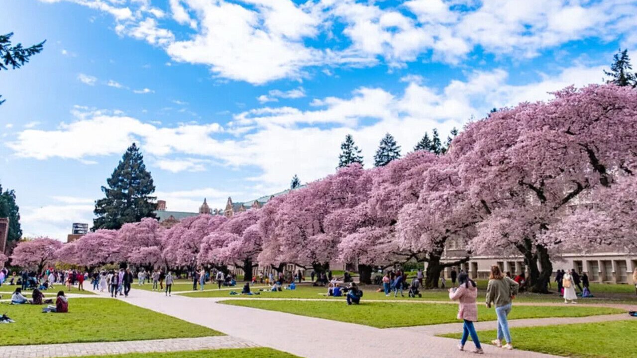 Photo of Others in University District