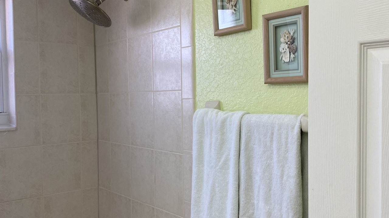 Photo of Bathroom in South Venice