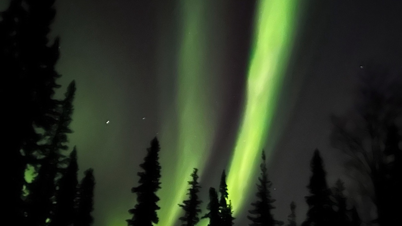 Photo of Others in Fairbanks