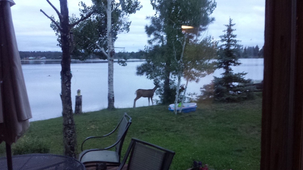 Photo of Outdoor in Pagosa Springs