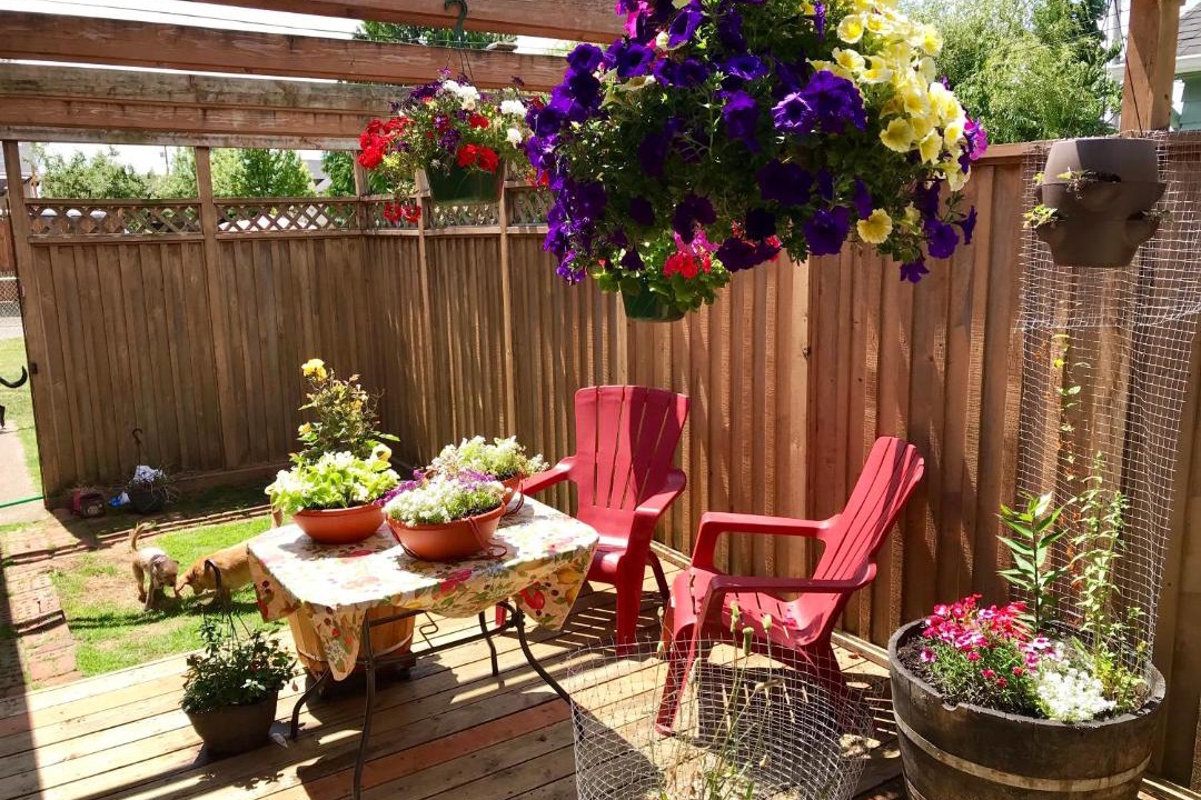 Photo of Patio Balcony in Aberdeen