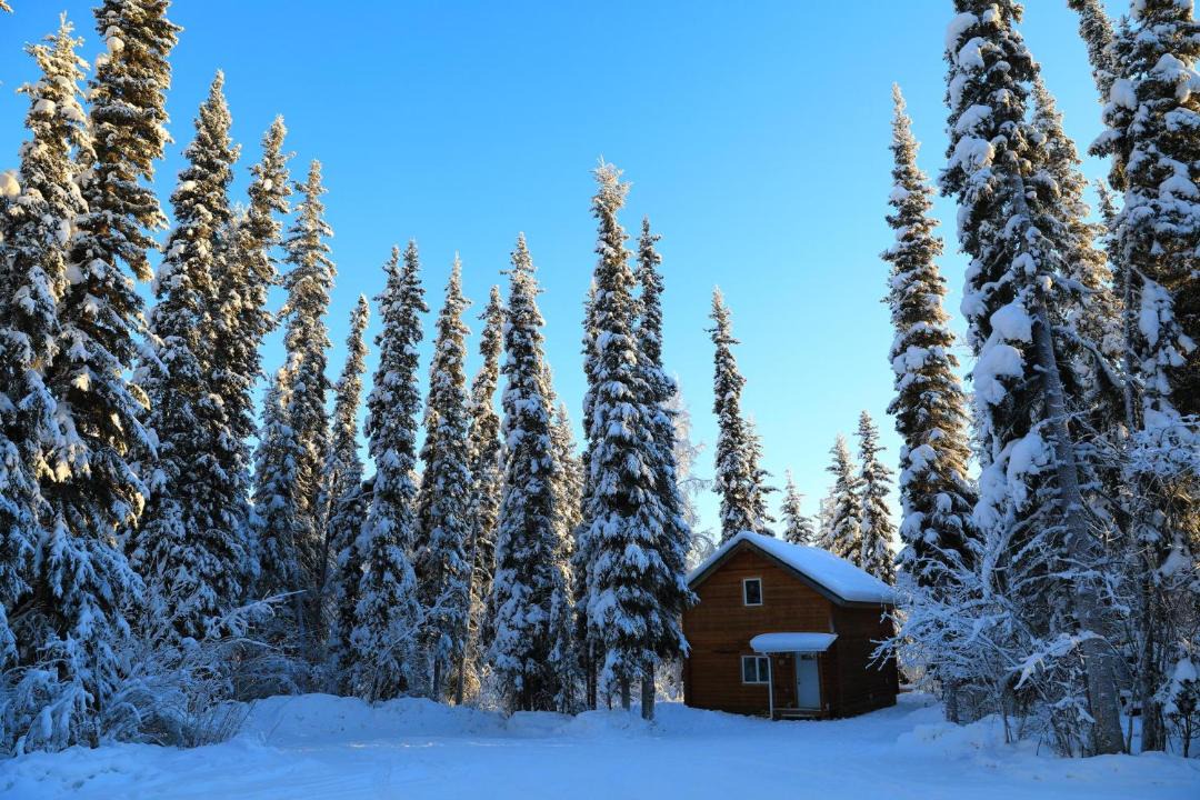 Photo of Others in Fairbanks