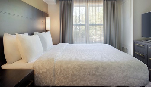 Studio, 1 King Bed with Sofa bed (Hearing Accessible)
