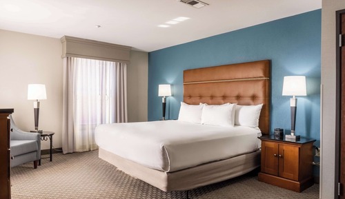 Suite, 1 King Bed with Sofa bed, Accessible (Sofa Sleeper, Roll-in Shower, 2 Rooms)